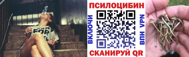 Псилоцибиновые грибы Magic Shrooms  закладки  Фатеж 